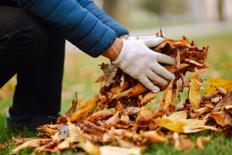 lawn maintenance