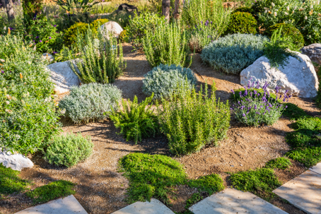 water wise garden