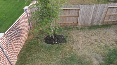 Backyard Deck Before Photo