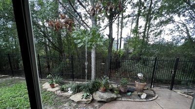 Backyard Landscaping Before Photo