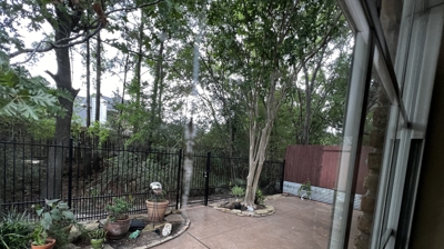 Backyard Landscaping Before Photo