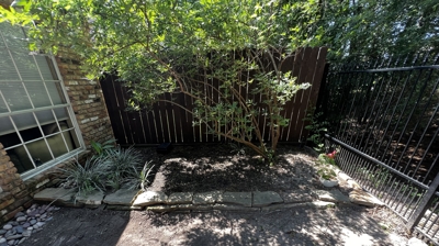 Backyard Landscaping Before Photo