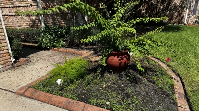 Backyard Landscaping Before Photo