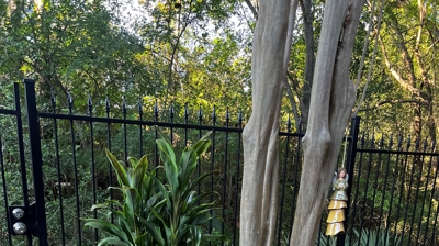 Backyard Landscaping After Photo