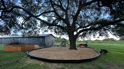 Backyard Playground After Photo