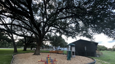 Backyard Playground After Photo