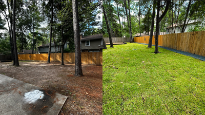 Before & After Photo