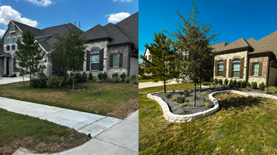 Before & After Photo