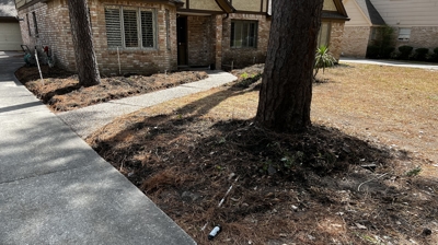Exterior Landscaping - Before Photo