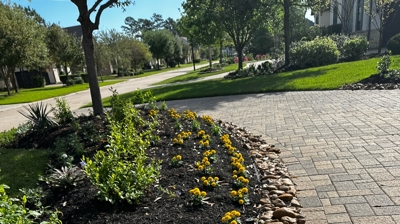 Flower Beds Photo