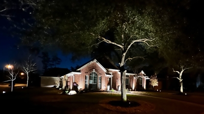 Landscape Lighting Photo