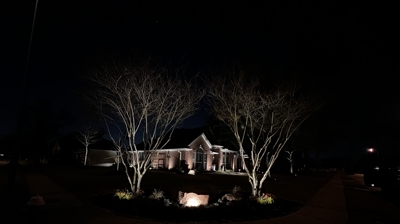 Landscape Lighting Photo