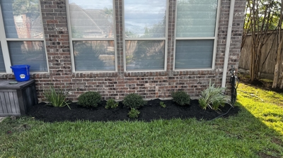 Poolside Landscaping - Completed Project Photo