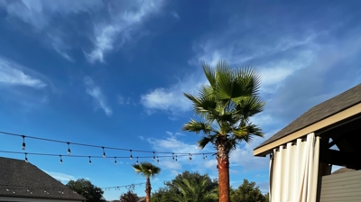 Poolside Landscaping - Completed Project Photo
