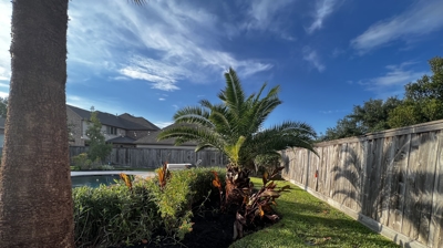 Poolside Landscaping - Completed Project Photo