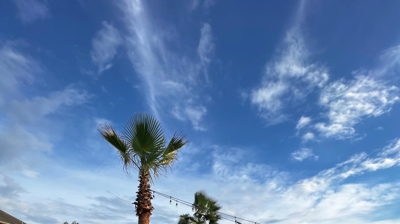 Poolside Landscaping - Completed Project Photo