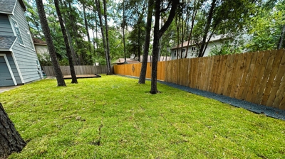 Sodding/Resodding Photo