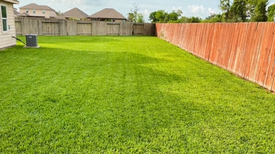 Sodding/Resodding Photo